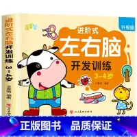[3-4岁]左右脑思维训练 [正版]儿童左右脑开发逻辑思维训练书 2–3一4-5-6两三四岁宝宝儿童益智书籍 大班中班小
