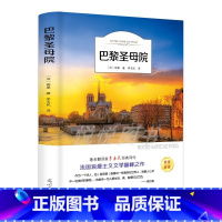 巴黎圣母院 [正版]巴黎圣母院 书原着 雨果着李玉民译 经典世界名着外国文学长篇小说 初中生高中生青少年课外阅读读书籍