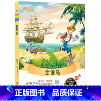 《金银岛》 小学通用 [正版]大语文名著41册汤姆索亚历险记水浒传西游记格林童话安徒生童话小王子中小学课外读本中国古典小