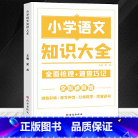 [单本装]语文知识大全 小学通用 [正版]荣恒 小学知识图解大全语文数学英语语法大全1-6年级数学公式定理大全计算题应用