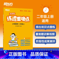 二年级上册 小学通用 [正版]练透重难点 小学数学 一二三四五六年级上册 小学生数学辅导资料教辅思维练习训练小学数学培优