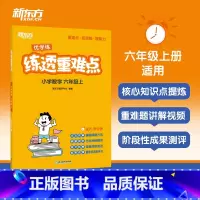 六年级上册 小学通用 [正版]练透重难点 小学数学 一二三四五六年级上册 小学生数学辅导资料教辅思维练习训练小学数学培优