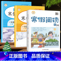 寒假作业+寒假阅读 小学五年级 [正版]荣恒教育 2023寒假作业一年级上册二三四五六年级上册寒假作业语数英人教版 小学