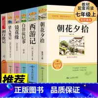 猎人笔记七年级上册 [正版]七年级上册朝花夕拾西游记白洋淀纪事镜花缘猎人笔记htwx初中生课外阅读写作素材积累国内国外世