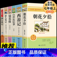 镜花缘七年级上册 [正版]七年级上册朝花夕拾西游记白洋淀纪事镜花缘猎人笔记htwx初中生课外阅读写作素材积累国内国外世界