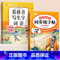 [二年级下]练字帖+看拼音写词语 [正版]小学语文同步练字帖一年级二年级下册三四五六年级人教版字帖每日一练硬笔钢笔字贴小