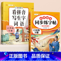 [六年级下]练字帖+看拼音写词语 [正版]小学语文同步练字帖一年级二年级下册三四五六年级人教版字帖每日一练硬笔钢笔字贴小