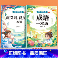 [2册]成语+近反义词训练大全 小学通用 [正版]小学生成语积累大全训练人教版一年级二年级三年级上册下册小学语文成语故事