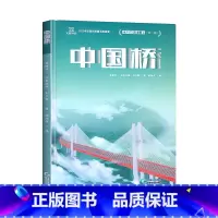 中国桥 [正版]9-12岁这就是中国力量超级工程来了斗半匠精装科学交通运输 基建工程 能源利用海洋开发科技力量少儿科普读