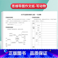 [写动物]思维导图作文纸16张[472格] [正版]思维导图作文纸400格9-12岁草稿练习纸发散思维方格纸写人写事写动