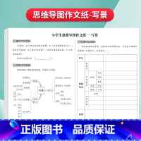 [写景篇]思维导图作文纸16张[472格] [正版]思维导图作文纸400格9-12岁草稿练习纸发散思维方格纸写人写事写动