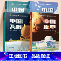 [科普共4本]中国桥+核电+天眼+高铁 [正版]斗半匠超级工程中国高铁中国桥梁中国天眼中国核电科普绘本第一辑工程里的科学