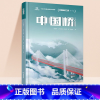 [科普单本]中国桥梁 [正版]斗半匠超级工程中国高铁中国桥梁中国天眼中国核电科普绘本第一辑工程里的科学奥秘少儿百科全书儿