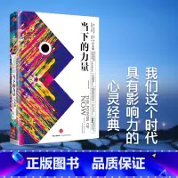 [正版] 当下的力量(白金版) 精装 埃克哈特·托利 着 身心灵 张德芬作序 出版社图书 自我励志经典之作