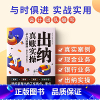 [正版]出纳真账实操从入门到精通财务工作知识手册真账图表案例实操示范轻松掌握出纳工作难点要点出纳实战财务处理财务人员出纳