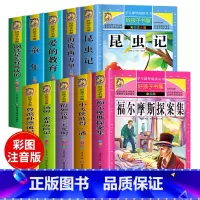 彩图 [正版]好孩子书屋系列 昆虫记注音版 法布尔原著注音版 小学生课外阅读书籍 一年级二年级三年级四年级下册课外书