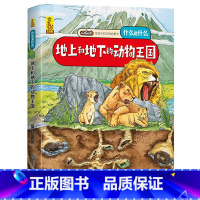 地上和地下的动物王国 [正版]给孩子的万物启蒙书:地上和地下的动物王国6-8-9-12周岁宝宝启蒙认知图画故事书万物简史