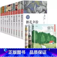 [全13册]鲁迅经典作品全集+高尔基三部曲 [正版]鲁迅全集原著10册 六七年级阅读书必课外阅读书籍朝花夕拾狂人日记故乡
