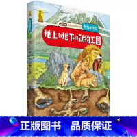 地上和地下的动物王国 [正版]什么是什么给孩子的万物启蒙书系列全28册3-7岁幼儿童全学科绘本自然天文地理人文历史世界科