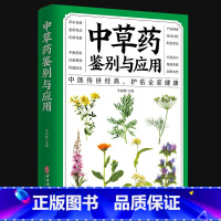 [正版]中草药鉴别与应用速查手册功效速记中药草药药材识别鉴别品种书籍中医处方的配方搭配配制处方集以及方剂学配伍方项