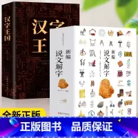 [正版]2册 新编说文解字+汉字王国 语言文字古代汉语字典国学经典古文字学研究通俗读物详解部首段玉裁注咬文嚼字细说汉字的