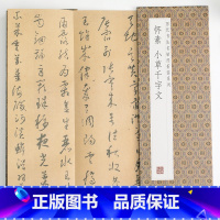 [正版]怀素小草千字文历代书法名帖经折装系列草书简体释文毛笔书法字帖一点成一字之规一字乃终篇之总帖可以让您领悟章法布局的