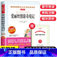 爱丽丝漫游奇境记(赠考点手册) [正版]鲁滨逊漂流记全套六年级下册必读的课外书汤姆索亚历险记快乐读书吧尼尔斯骑鹅旅行记原