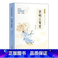 小国学-宋词三百首 [正版]全24册 中国国学经典藏书儒家经典全集图书注无障碍阅读中华传统文化读本中华国学经典名著藏书中