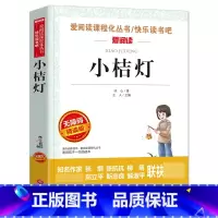 小桔灯 [正版]陶奇的暑假日记冰心 小学生阅读名著 无障碍阅读 小学生淘奇的暑期日记阅读写作训练书 儿童读物7-10-1