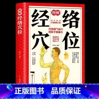 [正版]图解经络穴位 人体经络穴位按摩大全书 人体高清全身穴位指示 保健推拿穴位中医养生书籍大全推拿按摩书籍手法按摩书籍