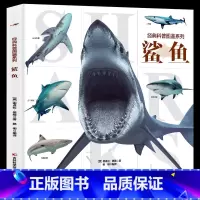 经典科普图鉴系列-鲨鱼 [正版]经典科普图鉴系列恐龙鲨鱼枪械飞机猫狗上百幅恐龙的还原图和场景图全景生动近百张珍贵的化石照