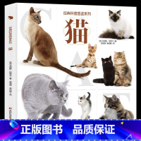 经典科普图鉴系列-猫 [正版]经典科普图鉴系列恐龙鲨鱼枪械飞机猫狗上百幅恐龙的还原图和场景图全景生动近百张珍贵的化石照片