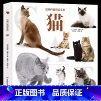 经典科普图鉴系列-猫 [正版]经典科普图鉴系列恐龙鲨鱼枪械飞机猫狗上百幅恐龙的还原图和场景图全景生动近百张珍贵的化石照片