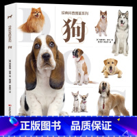 经典科普图鉴系列-狗 [正版]经典科普图鉴系列 狗猫犬猫的特征性格以及饲养技巧等内容大量美图带您近距离欣赏猫狗了解每种猫