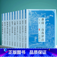 [正版]全10册唐诗宋词元曲三百首注析绝句婉约词豪放词300首名赋百篇评注绝妙好词原著中国古诗词鉴赏大全国学经典书籍