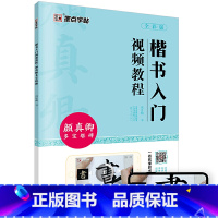 [正版]字帖楷书入门视频教程成人初学毛笔书法入门颜真卿多宝塔碑