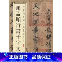 [正版]赵孟頫行书千字文(中华经典碑帖彩色放大本)