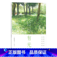 [正版]恰好有光:阿部智幸的水彩诗画集