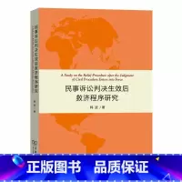 [正版]民事诉讼判决效后救济程序研究
