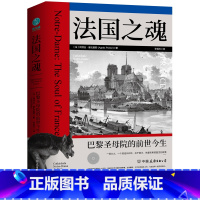 [正版]法国之魂:巴黎圣母院的前世今生