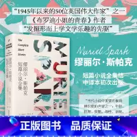 [正版]缪丽尔·斯帕克短篇小说全集 (中文世界初次出版,41个短篇,篇篇精彩,《纽约时报书评》断言只要人们还读英语小说,