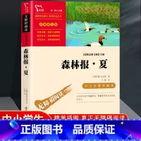 森林报夏 [正版]森林报春夏秋冬全四册 四年级下册必读的课外书阅读经典书目小学生二三4五六上比安基著动物故事书书籍科普百