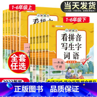 练字帖 二年级下 [正版]2023版看拼音写词语生字小学一年级二年级三四五六年级上册下册语文小学生注音生字拼音拼读训练组