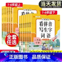 [2本]看拼音写生字词语+语文文学常识 五年级下 [正版]2023版看拼音写词语生字小学一年级二年级三四五六年级上册