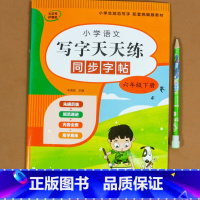 同步字帖 六年级下册 [正版]鲁滨逊漂流记六年级下册必读课外书 快乐读书吧 汤姆索亚历险记原著完整版 尼尔斯骑鹅旅行记