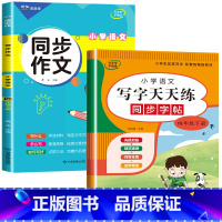 2册:同步作文 + 写字天天练 四年级下 [正版]2023新版 四年级下册同步作文语文人教版 4年级阅读课外书必读老师读