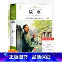 - - - 满2件9折 - - - [正版]故乡 鲁迅原著 六年级必读的课外书老师 适合