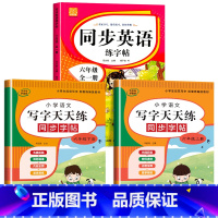 六年级上册+下册(语文+英语) [正版]小学英语练字帖同步人教版PEP三四五六年级上册+下册 三升四英文字母书写练习单字