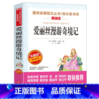 爱丽丝漫游奇境 单本 [正版]鲁滨逊漂流记六年级下册必读课外书 快乐读书吧 汤姆索亚历险记原著完整版 尼尔斯骑鹅旅行记