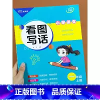 看图写话(上册) 小学一年级 [正版]看图写话一年级上册下册每日一练 小学生语文看图说话写话训练本1年级范文大全人教版阅